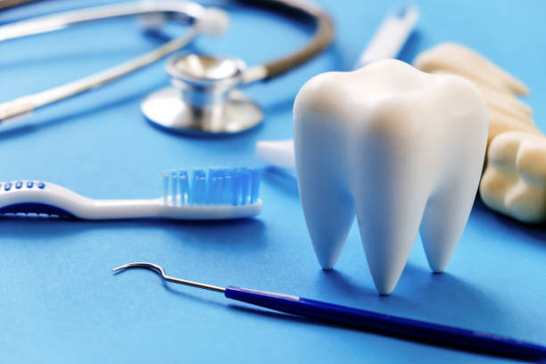 Best Dental Exams and Cleanings  in Surrey, ND